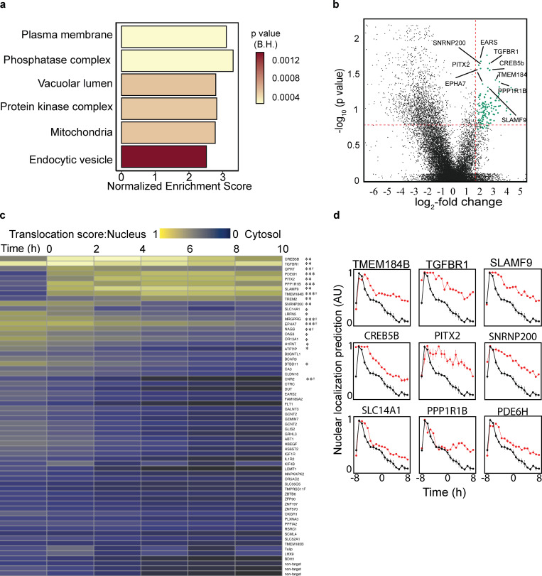 Genomic Pipeline